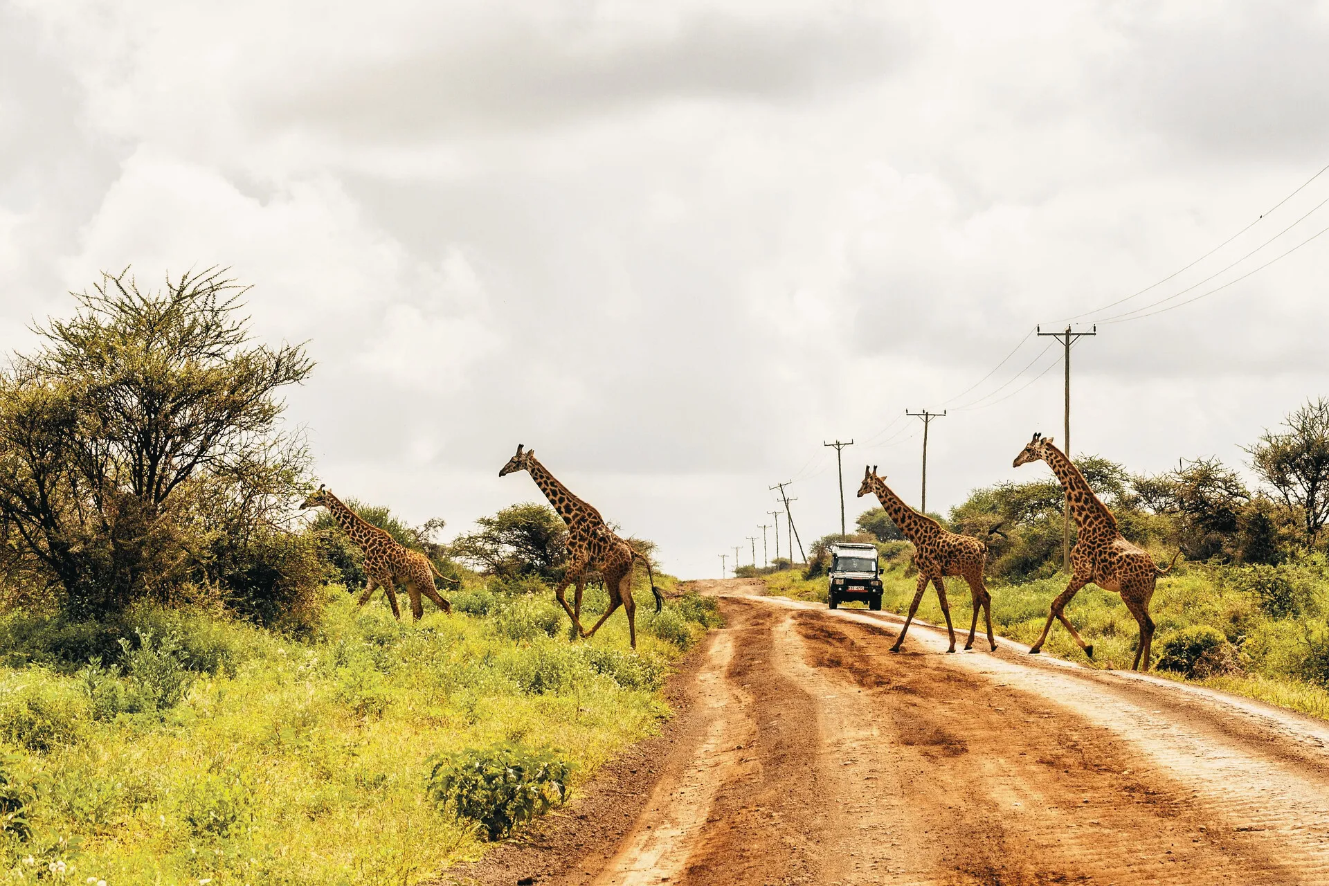 Amboseli Fly-In Luxury Retreat