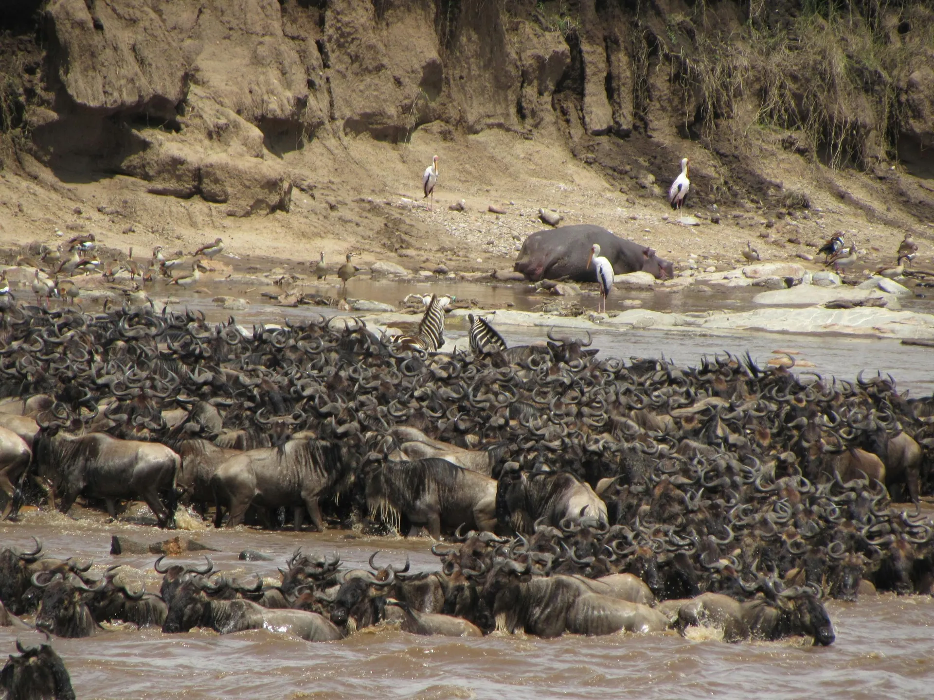 Nairobi Stopover Luxury Safari