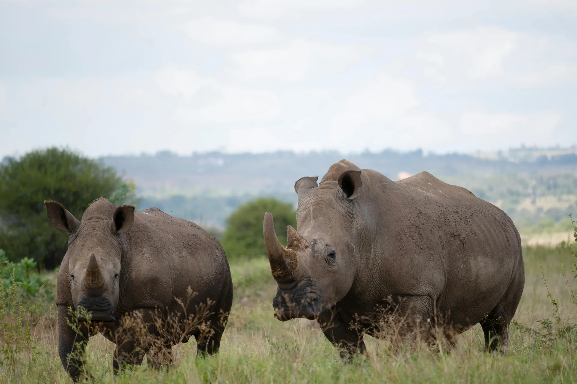 Family Safari in a Private Ranch