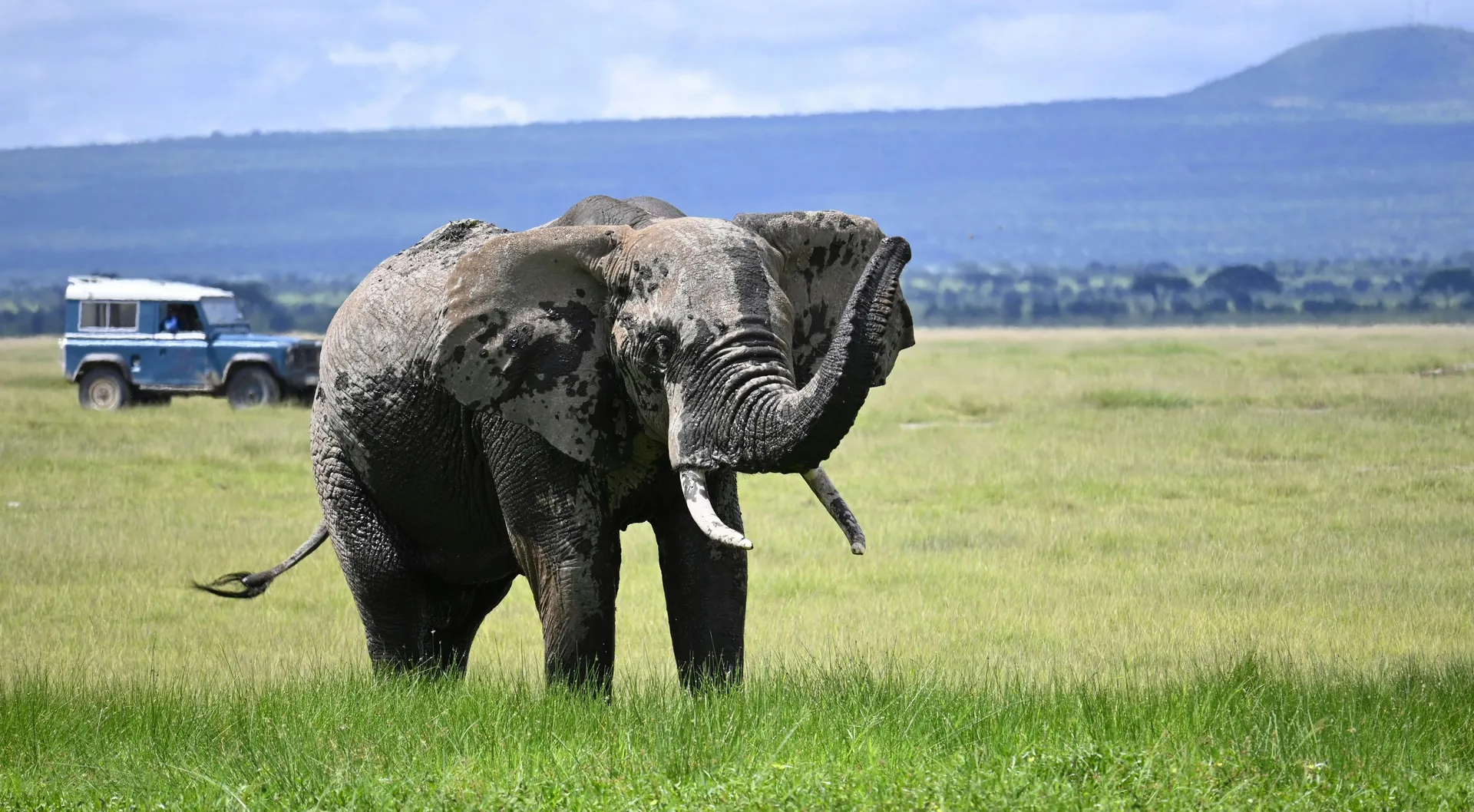 Laikipia Horseback Safari