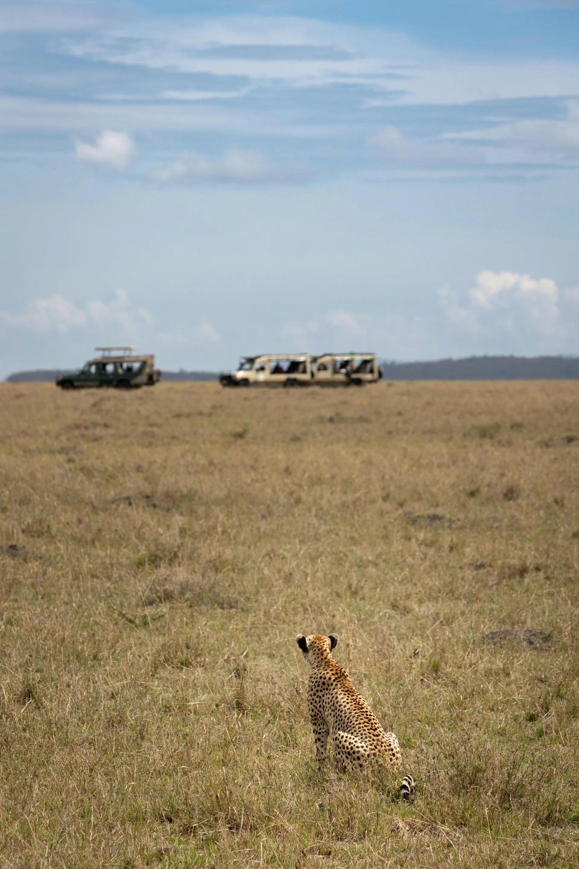 Laikipia Private Conservancy Safari