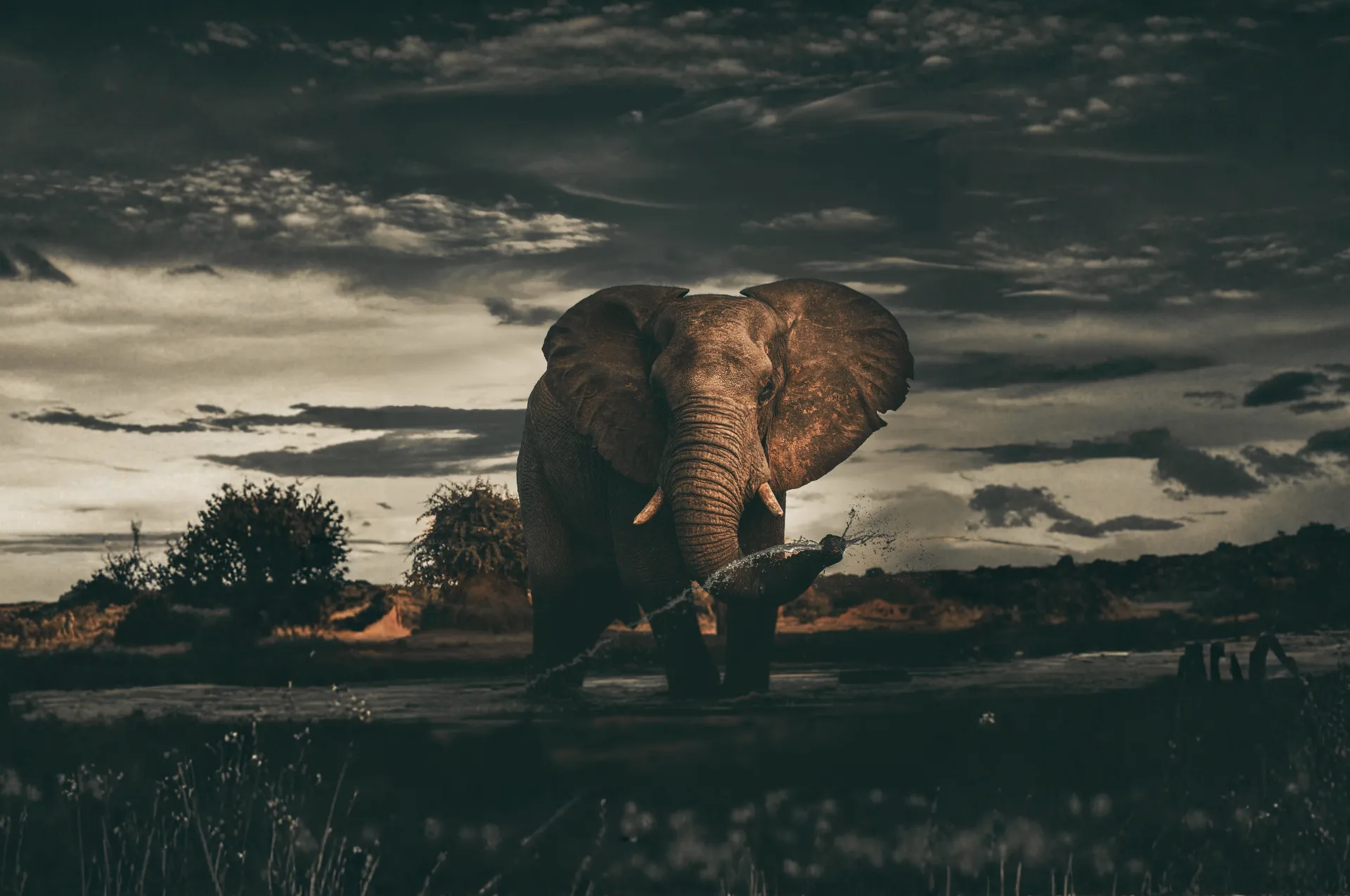 Slow Safari: Mara Unfiltered