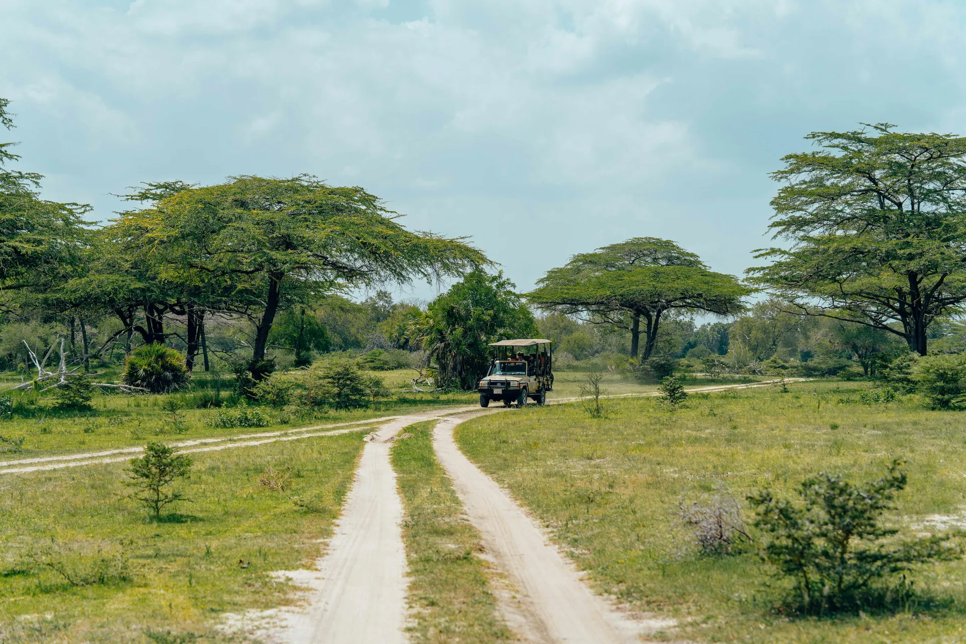 Nairobi Conservation Discovery Safari