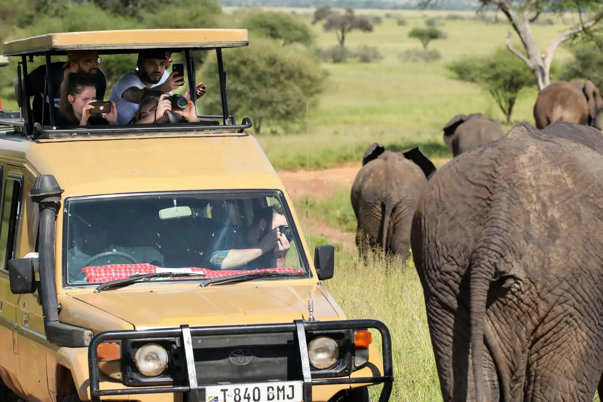 Private Charter Safari: Tsavo Untamed