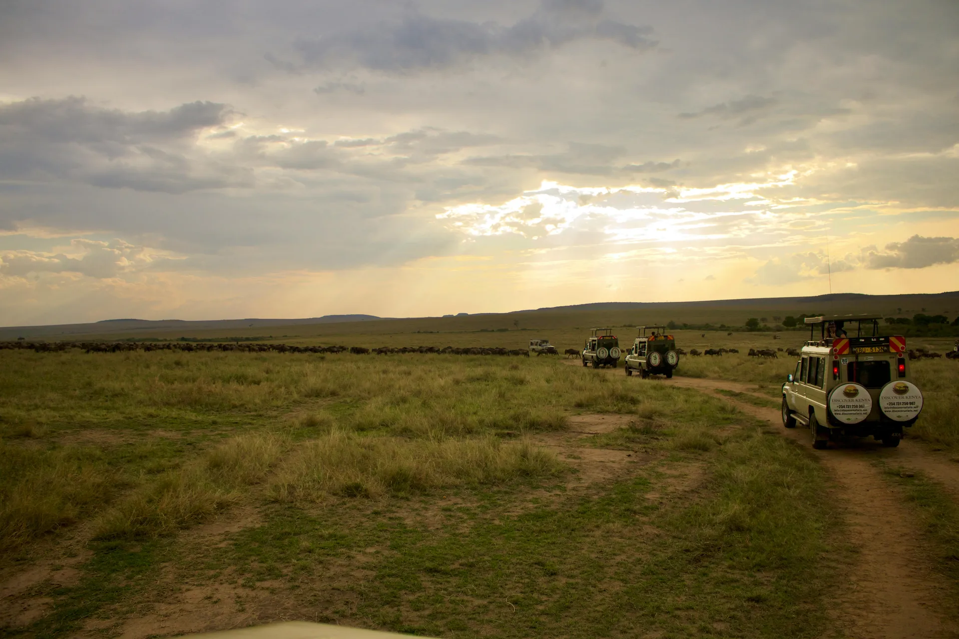 Tsavo Photographic Safari